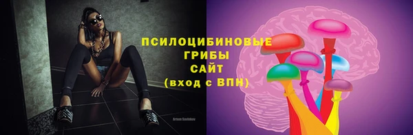 прущий лед Вязники