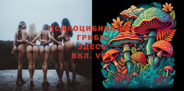 кокаин Вяземский
