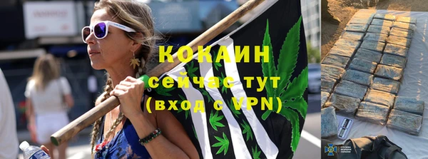 PSILOCYBIN Дмитров