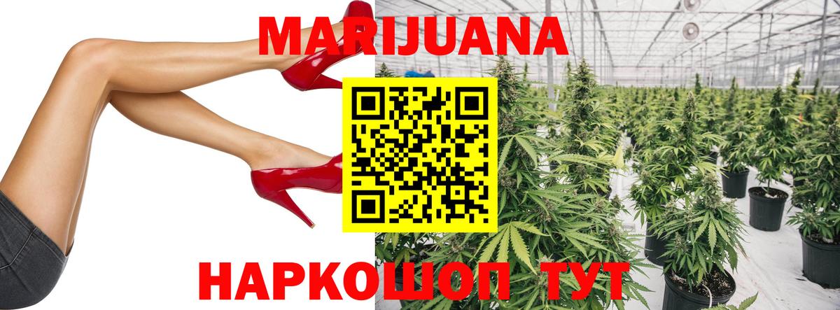 Канабис планчик Добрянка